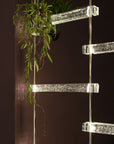 A mesmerizing lighting fixture, the Italamp Piola, features a glass shelf adorned with a lush plant hanging delicately from it. The cast glass bars add an exquisite touch to this unique Italamp Piola.