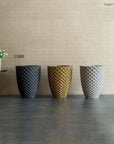 Exgra Collection