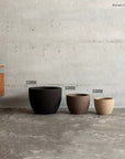Exmen Collection