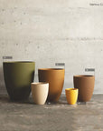 Nemus Collection