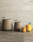Nenim Collection