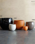 Nenon Collection