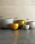 Nenue Collection
