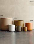 Nepom Collection