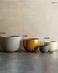 Nepot Collection