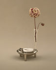 A minimalist tabletop arrangement featuring a small brushed chrome bowl cum candle holder with three legs, a clear glass vase, and a dried flower stem with a curled sepaled bud, set against a warm beige background.