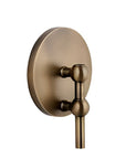 A wall-mounted bud vase with a round backplate in an antique bronze finish, shown against a plain white background.