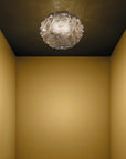 Emisphera Ceiling