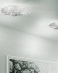 Sylcom Bembo Ceiling Spacio India