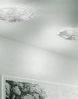 Sylcom Bembo Ceiling Spacio India