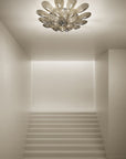 Sylcom Gabbiano Ceiling Spacio India