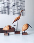 Warm Nordic Beak Bird Awake Snipe Oak Spacio India