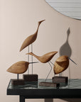 Warm Nordic Beak Bird Awake Snipe Oak Spacio India
