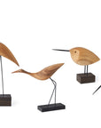 Warm Nordic Beak Bird Awake Snipe Oak Spacio India