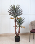 Yucca Twin