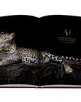 Assouline Cartier: Panthere coffee table book displaying Wild Panther sitting on rock on white back ground at Spacio India for luxury home decor collection of Jewellery Coffee Table Books.