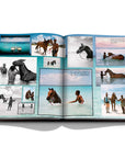Assouline Polo Heritage Coffee Table Book displaying photos of washing horses on a white back ground available at Spacio India for luxury home decor accessories collection of Sports Coffee Table Books.