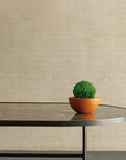 Modern black metal table with a small green plant on a beige background