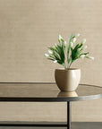 Potted plant on a modern black metal table against a beige wall