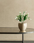 Potted plant on a modern black metal table against a beige wall