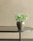 Potted plant on a table against a beige wall