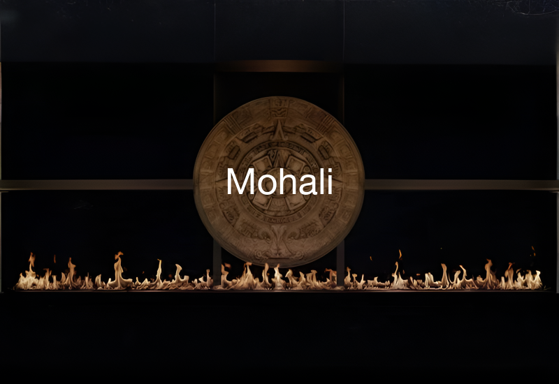 Luxury indoor and outdoor fireplaces in Mohali by Spacio including water vapour, LED, bioethanol and gas fireplaces