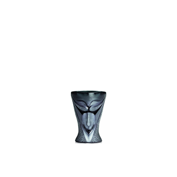 Maleras Crystal Lucifer Schnaps Black 2 Piece Set on a grey back ground from Masque collection for modern interiors available at Spacio India from the Drink ware of Bar Accessories Collection.