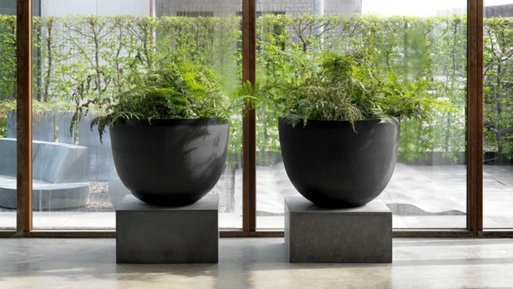 Modern black planters with lush greenery in luxury indoor space at Spacio Mumbai