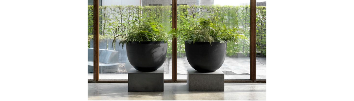 Styling with Planters: Bring Nature Elegantly Indoors
