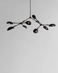 Close up of Drop chandelier from 101 Copenhagen available at Spacio retail stores in Mumbai & Kolkata. 