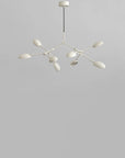 Close up of Drop chandelier from 101 Copenhagen available at Spacio retail stores in Mumbai & Kolkata. 