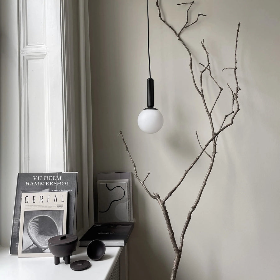Minimalist interior with a branch, light bulb, and books on a shelf.