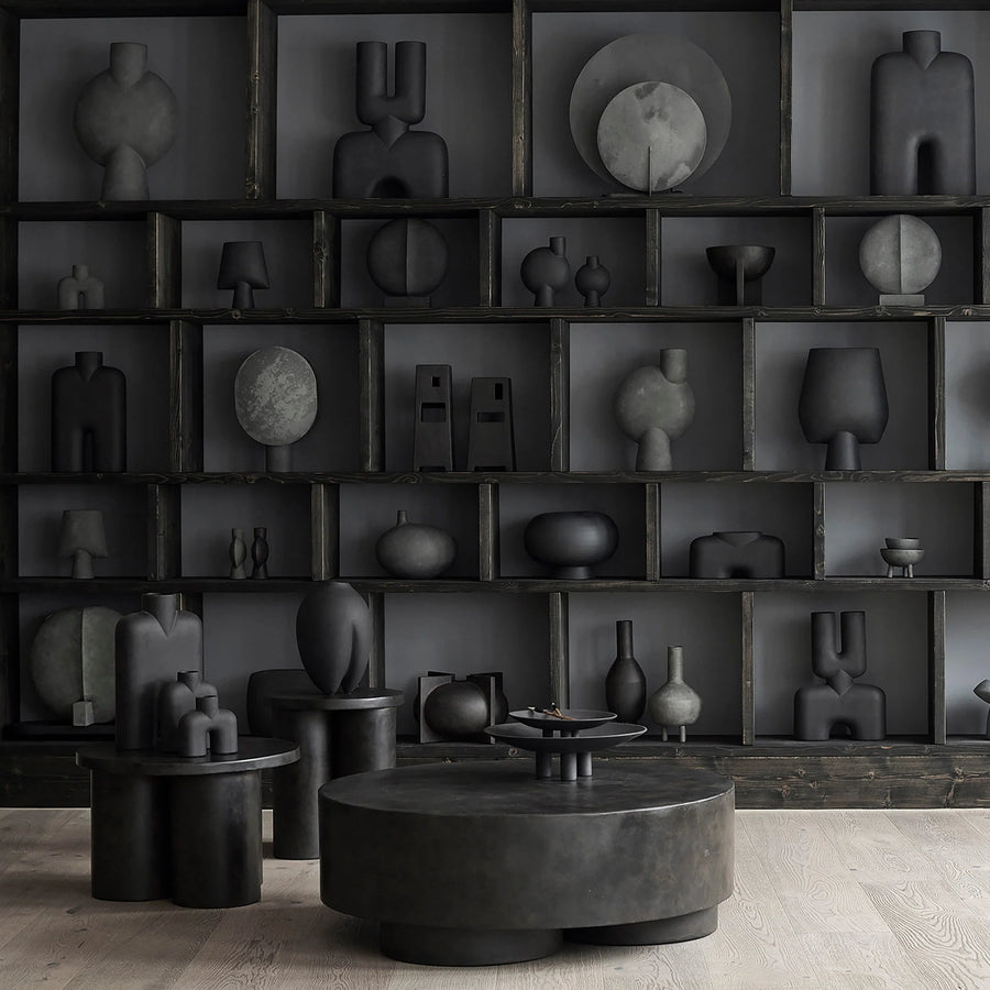 Collection of black sculptures and objects on shelves in a dark room.