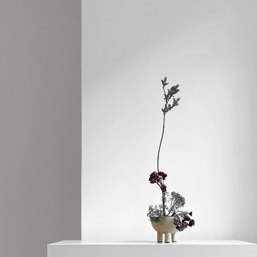 Minimalist flower arrangement in a small pot on a white surface with a gray background from 101 Copenhagen at Spacio retail stores in Mumbai & Kolkata. 