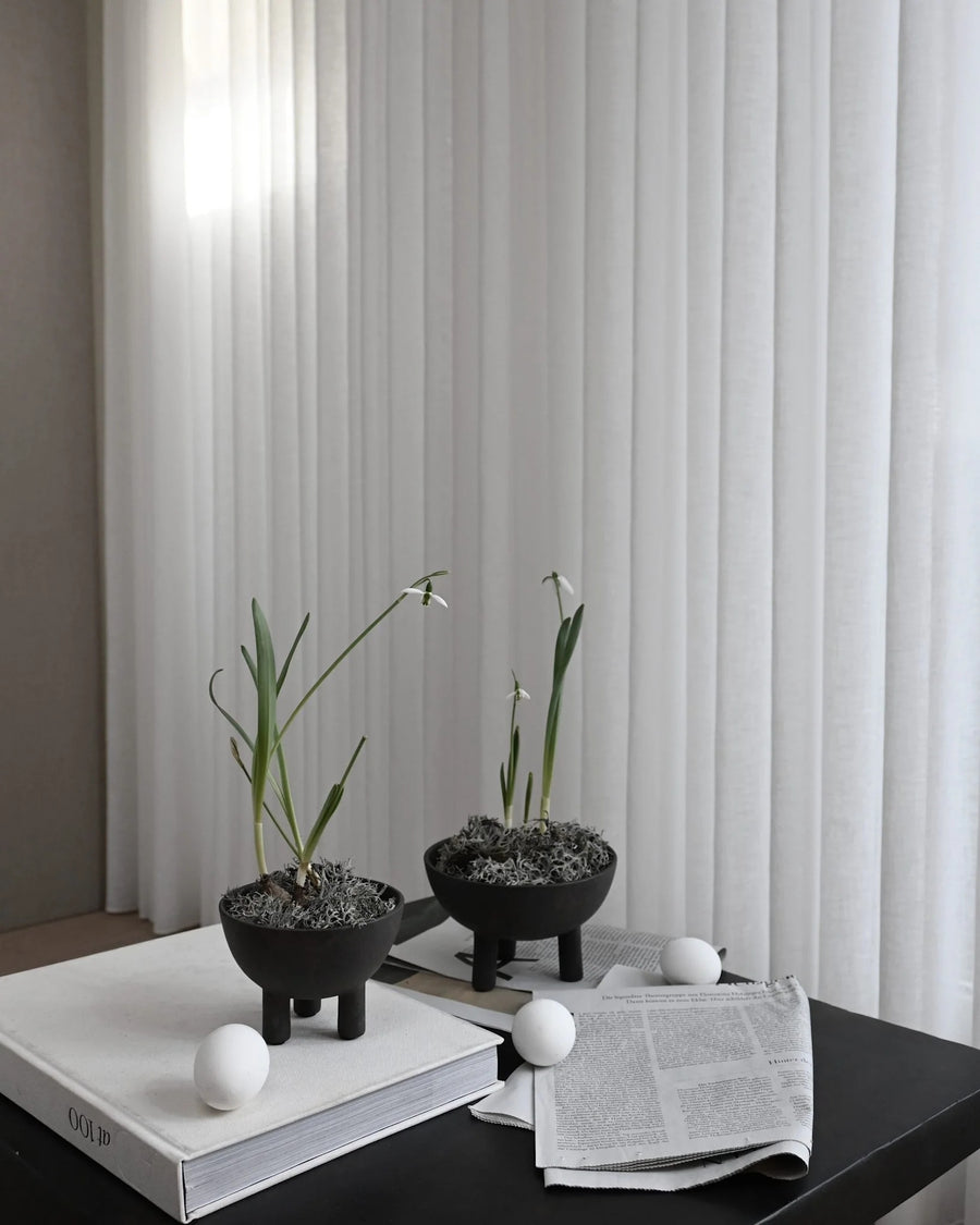 Decorative setup with plants, books, and a newspaper against a striped wall.