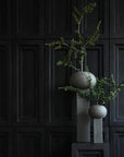 Two 101Cph Empire Mini Dark Grey 223036 ceramic vases with a plant on them in front of a black wall.