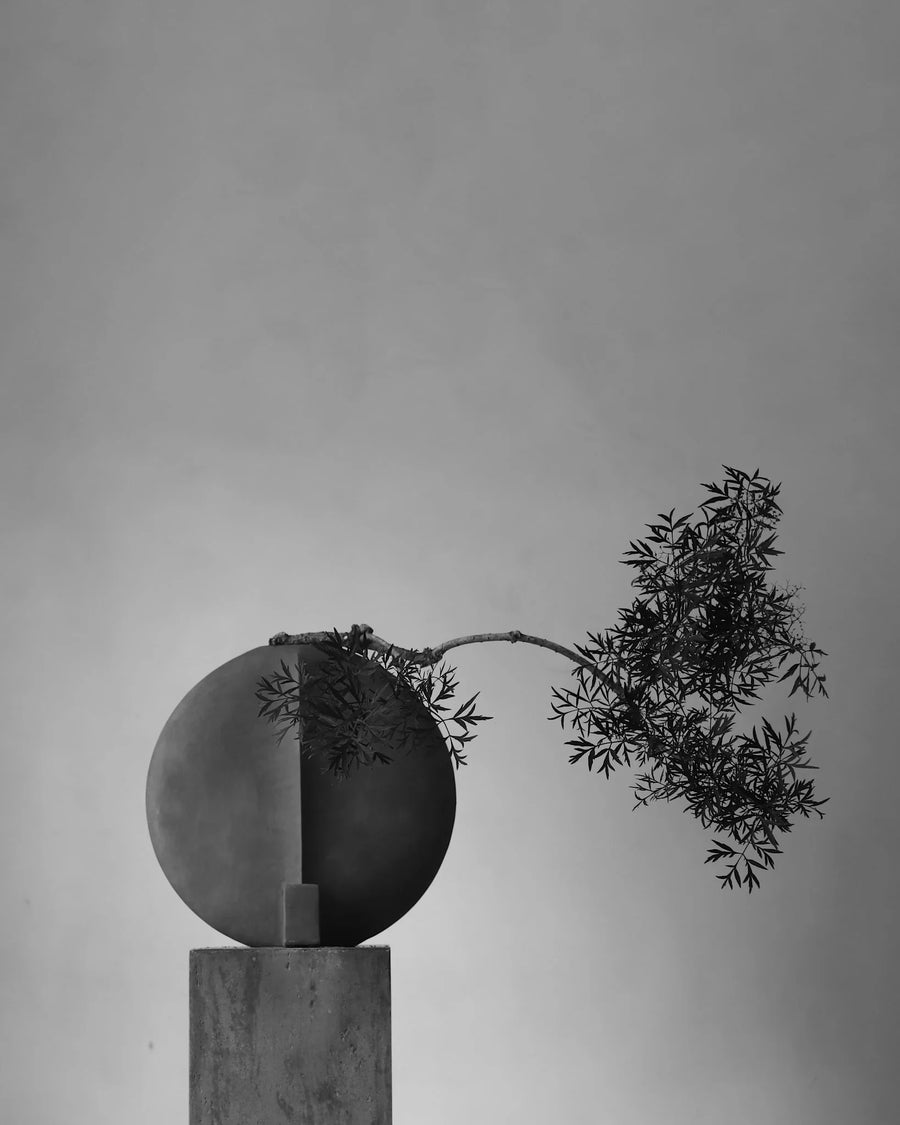 A sculptural vase with a branch against a gray background from 101 Copenhagen at Spacio retail stores in Mumbai & Kolkata. 