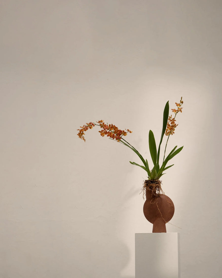 Terracotta ceramic sculptural vase with orange flowers on a white pedestal against a plain background from 101 Copenhagen at Spacio retail stores in Mumbai & Kolkata. 