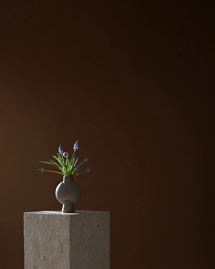 Small plant in a vase on a pedestal against a dark brown background from 101 Copenhagen at Spacio retail stores in Mumbai & Kolkata. 