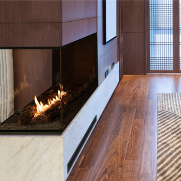 Panorama Indoor Bioethanol Insert Fireplace by Planika