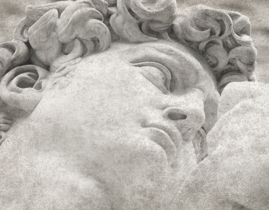 Close-up fresco mural of Michelangelo’s David, crafted with Italian plaster using Carrara marble and travertine powder, showcasing intricate classical details.