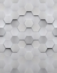 Affreschi and Affreschi 3D wall Hexagon design for modern interiors available at Spacio India from our art surface coverings collection.