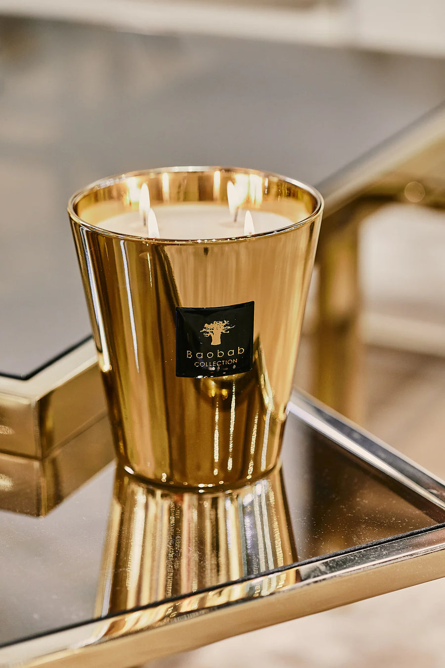 Baobab Aurum Candle Max 16 Spacio India