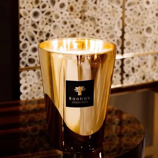 Baobab Aurum Candle Max 16 Spacio India