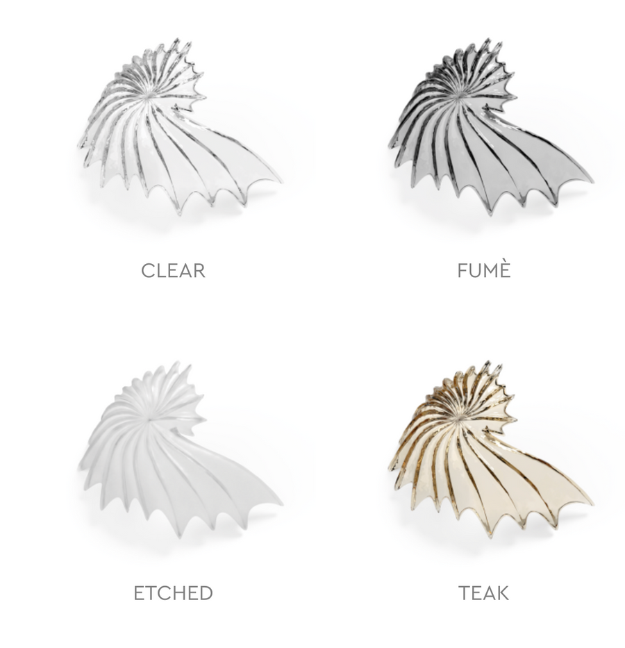 Four shell-shaped glass elements from Italamp's Kaleido collection in different finishes on a white background