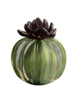 Decorative green pumpkin on a white background