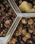 Tortoise Organic Small
