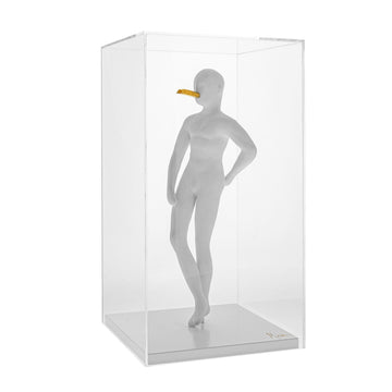 The Snob ceramic sculpture from Gardeco in a clear display box on a white background from Spacio retail store in Mumbai