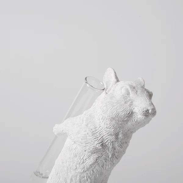 Haoshi Chipmunk Vase Carry on Back 03 Spacio India