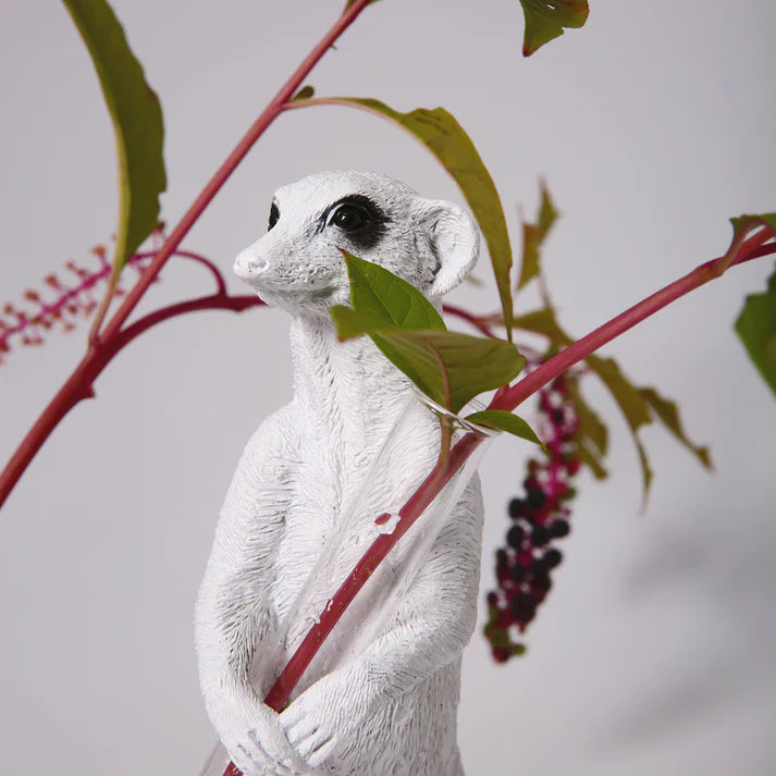 Haoshi Meerkat Vase Sit 02 Spacio India